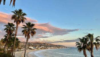 Palm trees sway above a sunny seaside beach at sunset, with a coastal town and gentle waves stretching to the horizon.