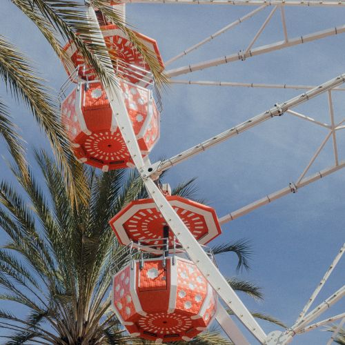 The image shows a close-up of a Ferris wheel with red, white, and pink gondolas, set against a backdrop of palm trees and a blue sky.